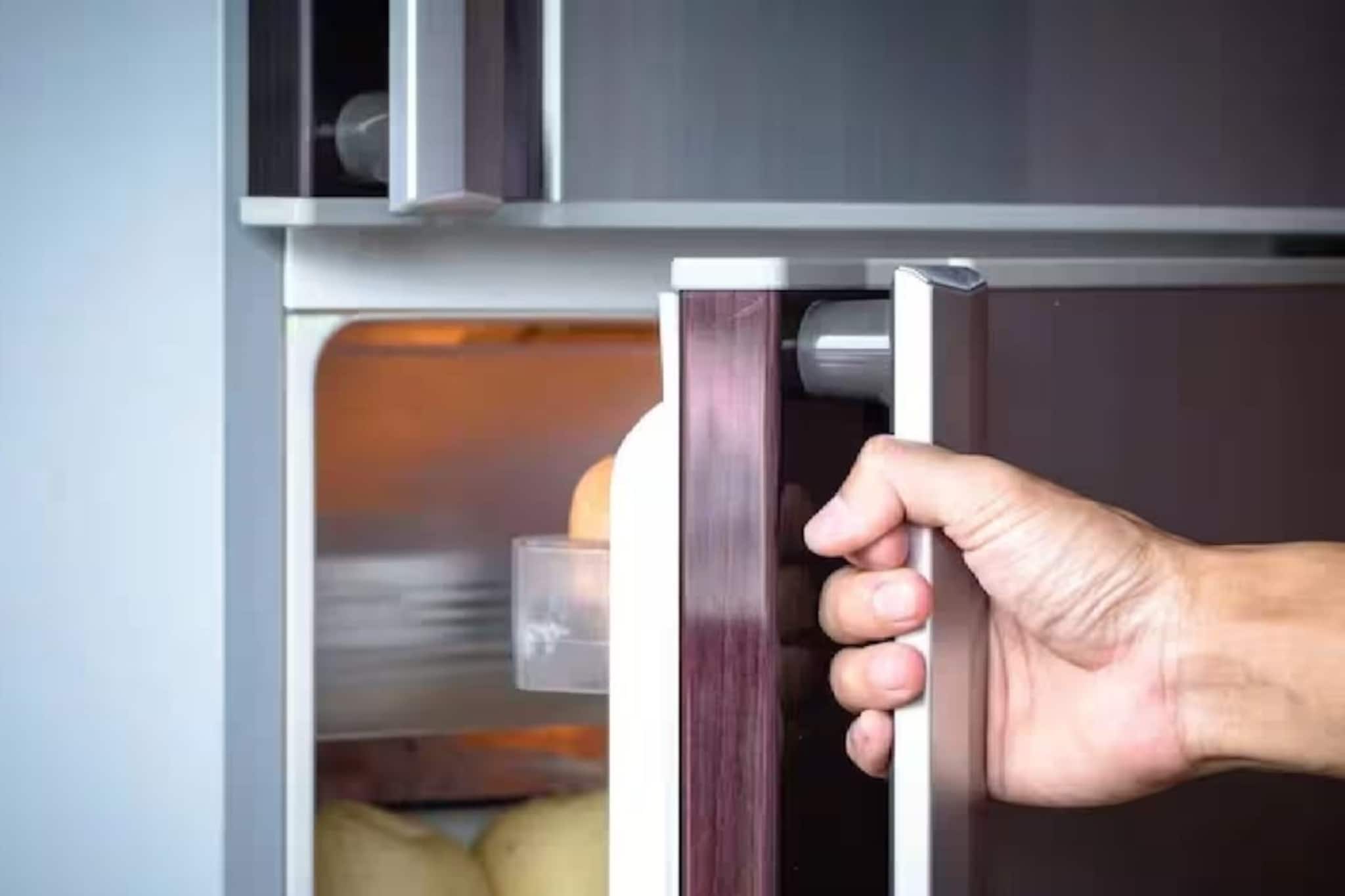 ঘন ঘন ফ্রিজ খোলা মানেই ইলেকট্রিক বিল দ্বিগুণ? সত্যিটা জানলে অনেকেই চমকে উঠবেন