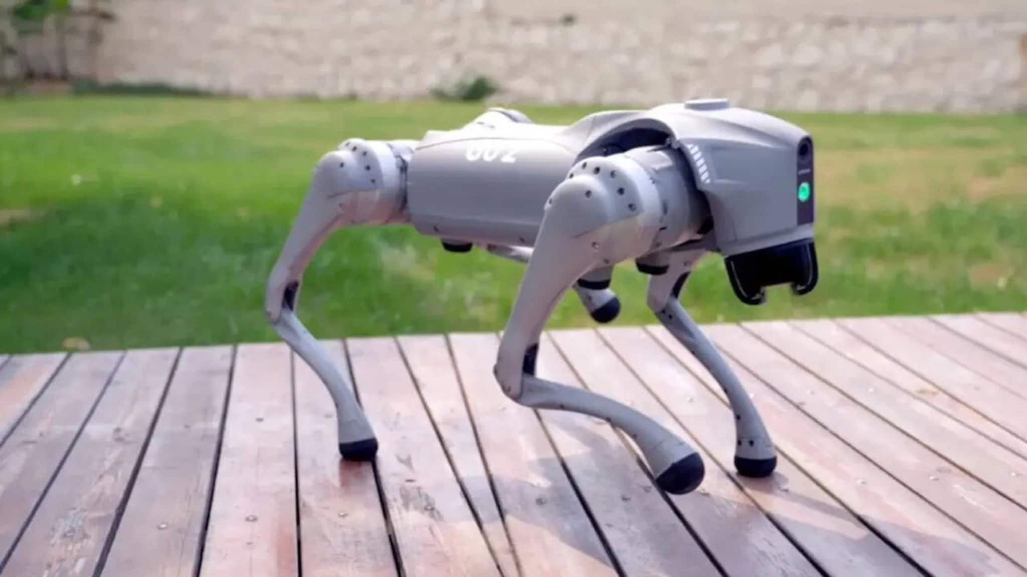 AI Impact Summit 2026: ইন্ডাস্ট্রিয়াল কাজ থেকে শুরু করে গৃহস্থালির ব্যবহার, এই ৬ জনপ্রিয় রোবট ভারতে আমদানি করা হতে পারে, তাদের দাম এবং বৈশিষ্ট্য সম্পর্কে জানুন