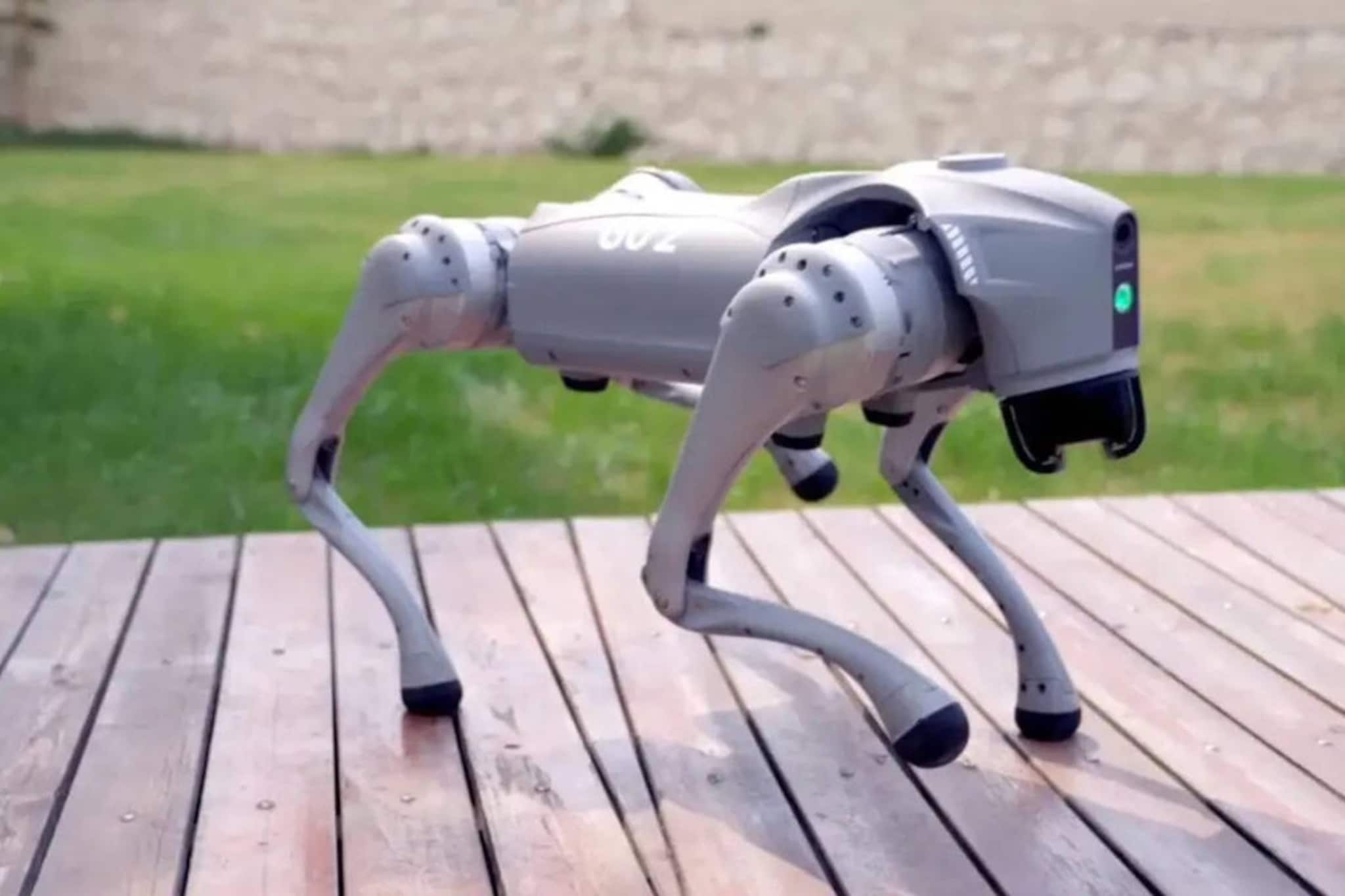 গ্যালগোটিয়াস বিতর্কের বাইরে! আজই বাড়িতে আনতে পারেন ৬টি চিনা রোবট, দেখে নিন দাম