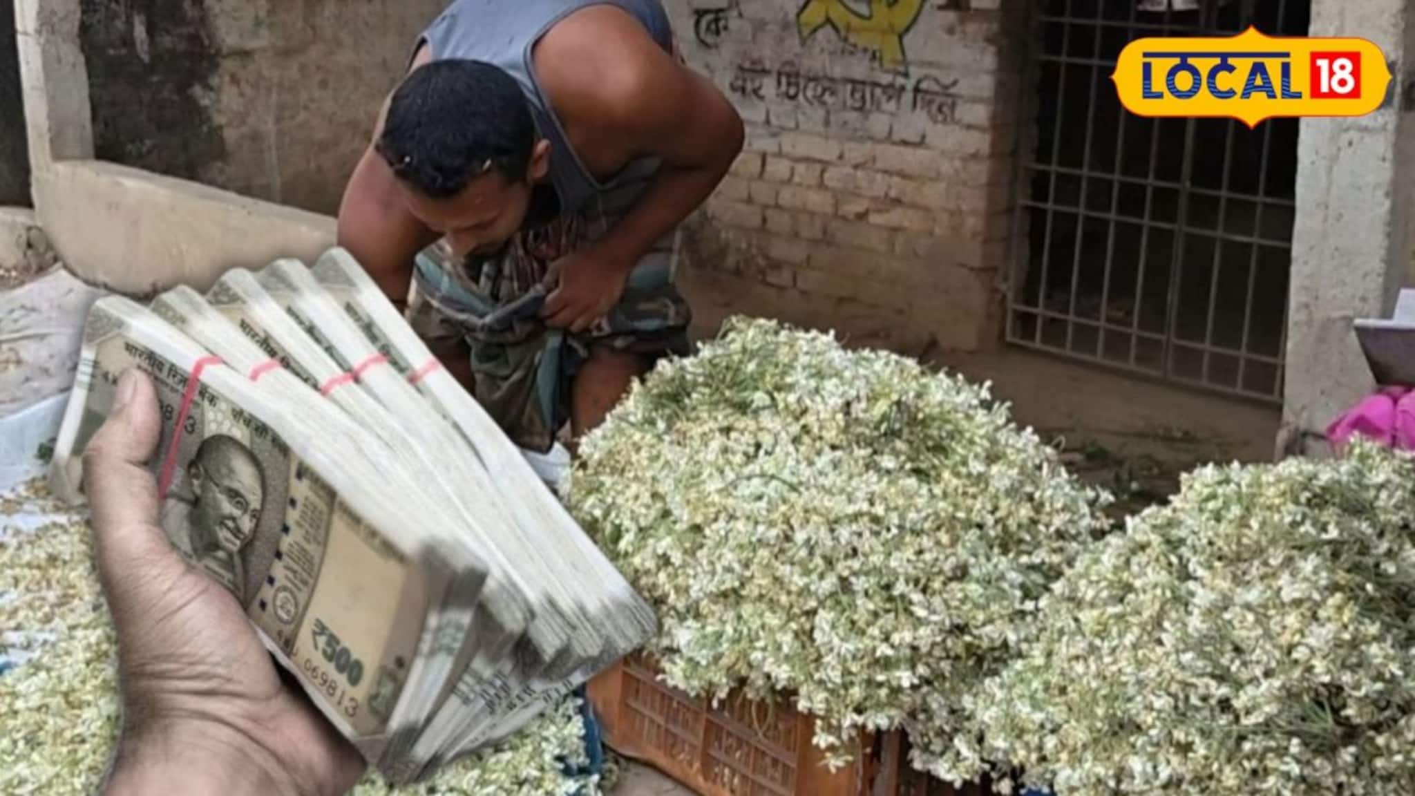 Money Making Tips: ভেষজ-ঔষধি গুণে ঠাসা, দিন দিন বাড়ছে কদর! ডাটা নয়, সজনে ফুলেই এইভাবে লক্ষ টাকা আয় করছেন সুন্দরবনের যুবকরা Money Making Tips: ভেষজ-ঔষধি গুণে ঠাসা, দিন দিন বাড়ছে কদর! ডাটা নয়, সজনে ফুলেই এইভাবে লক্ষ টাকা আয় করছেন সুন্দরবনের যুবকরা