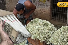 Money Making Tips: ভেষজ-ঔষধি গুণে ঠাসা, দিন দিন বাড়ছে কদর! ডাটা নয়, সজনে ফুলেই এইভাবে লক্ষ টাকার আয় করছেন সুন্দরবনের যুবকরা