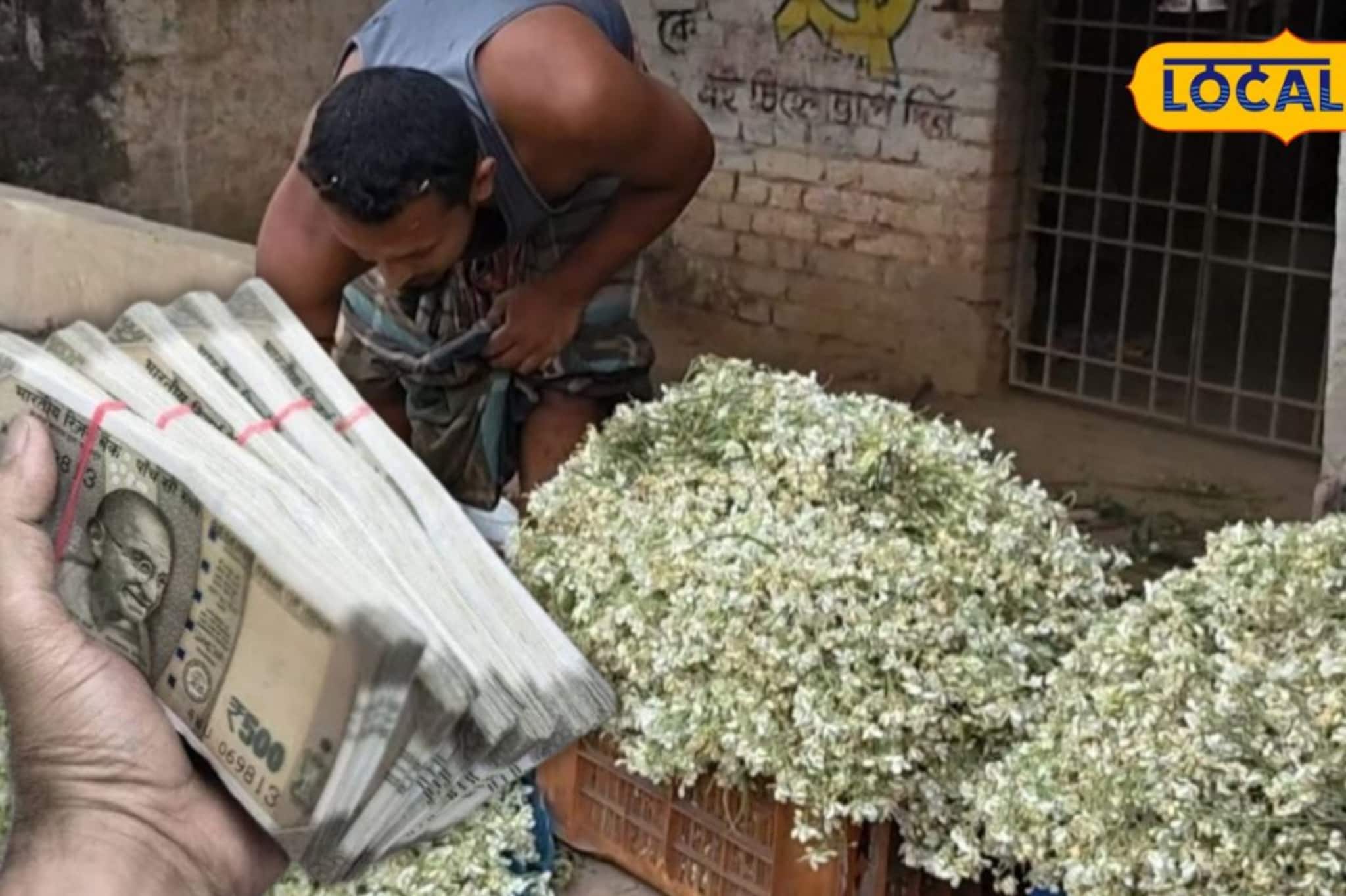 ভেষজ-ঔষধি গুণে ঠাসা, দিন দিন বাড়ছে কদর! ডাটা নয়, সজনে ফুলেই এইভাবে লক্ষ টাকার আয় ভেষজ-ঔষধি গুণে ঠাসা, দিন দিন বাড়ছে কদর! ডাটা নয়, সজনে ফুলেই এইভাবে লক্ষ টাকার আয়