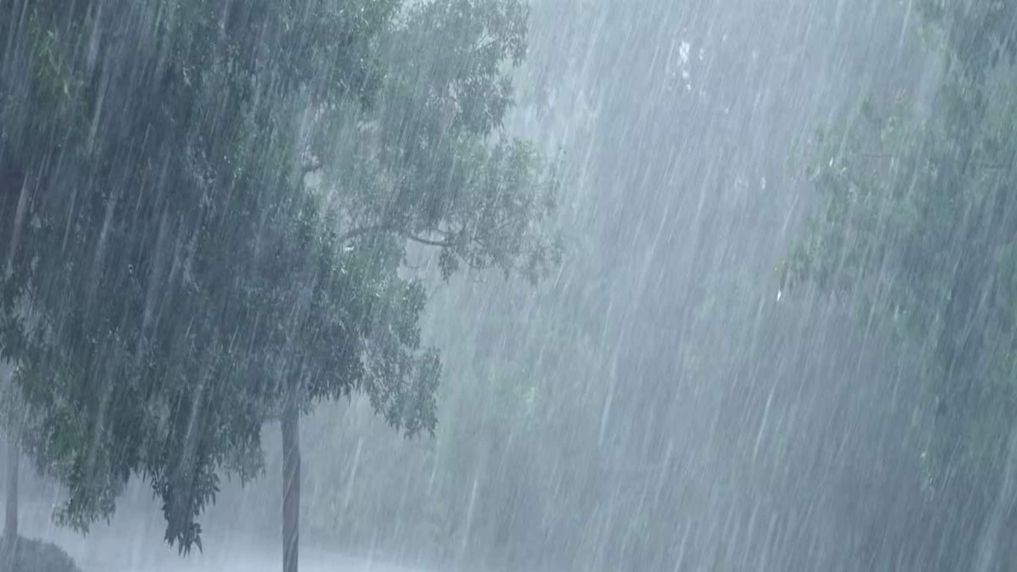 IMD Weather Update: আগামী ৭২ ঘণ্টা...! দু-দু'টি পশ্চিমা ঝঞ্ঝার হুঁশিয়ারি! ভারী বৃষ্টি কাঁপাবে ৪ রাজ্য! কুয়াশার কাঁপন কোন কোন রাজ্যে? কী হবে বাংলায়? জানিয়ে দিল IMD
