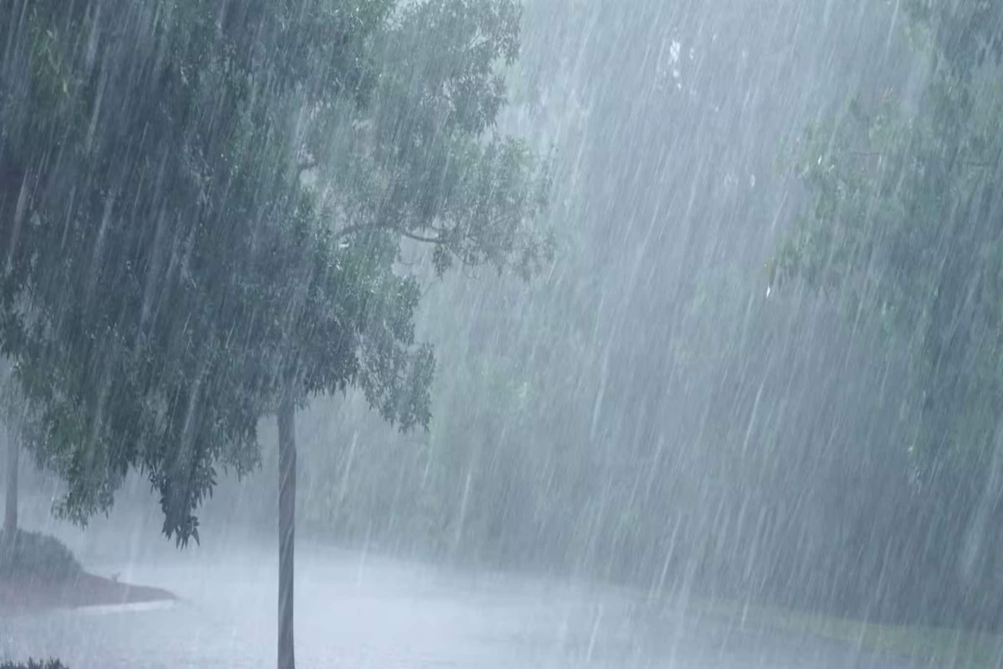 ৩, ৪, ৫ ফেব্রুয়ারি..! ৩ দিন বজ্রবিদ্যুৎ-সহ বৃষ্টি কাঁপাবে সাত-সাতটি রাজ্য, কী হবে বাংলায়?