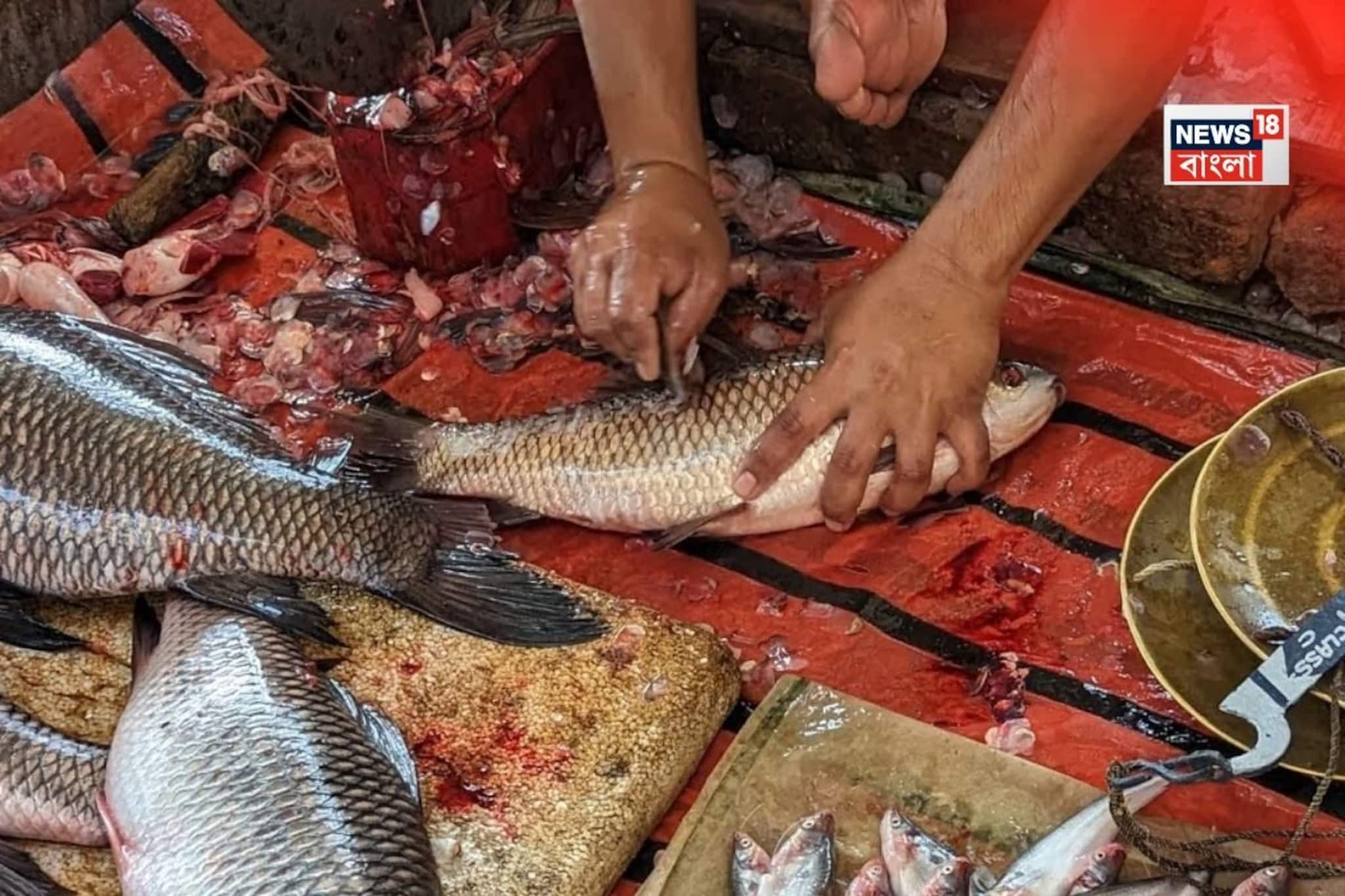 বাজারে গড়াগড়ি খায় এই 'মাছ'..! ভুলেও খাবেন না, 'মারকারি' ভর্তি, জেনে নিন ডাক্তারের পরামর্শ!