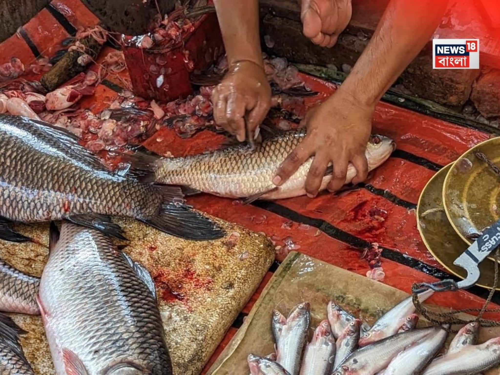 বাজারে গড়াগড়ি খায় এই 'মাছ'..! ভুলেও খাবেন না, 'মারকারি' ভর্তি, জেনে নিন ডাক্তারের পরামর্শ!