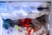 মিষ্টির দোকানের ফ্রিজ খুলতেই...! ডাই করা ওগুলো কী? দেখেই চক্ষুচড়কগাছ সবার! পরমুহূর্তে যা ঘটল...