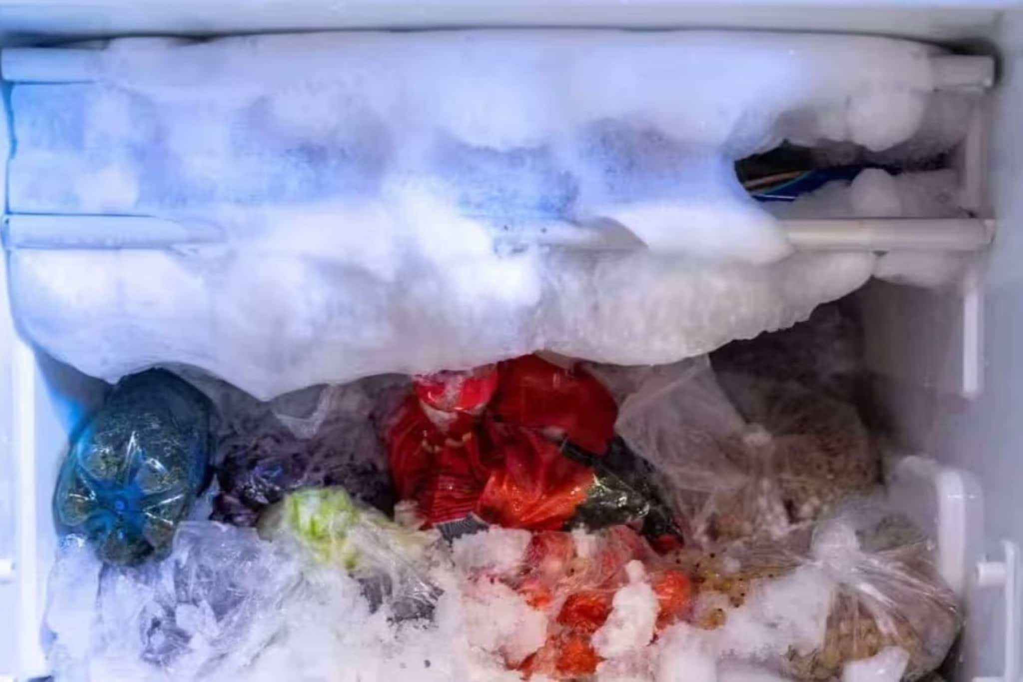 মিষ্টির দোকানের ফ্রিজ খুলতেই...! ডাই করা ওগুলো কী? দেখেই চক্ষুচড়কগাছ সবার!