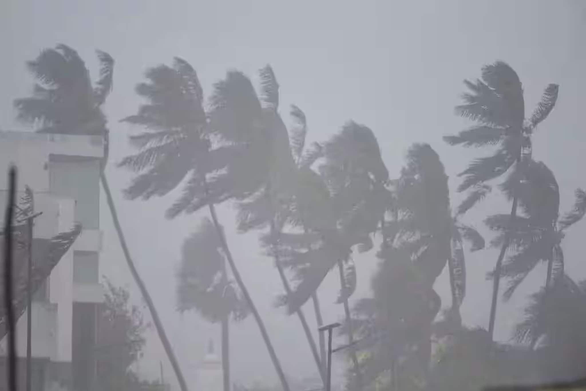 ৮, ৯, ১০, ১১ ফেব্রুয়ারি...! মুষলধারে ভারী বৃষ্টি কাঁপাবে ৩ রাজ্য, কী হবে বাংলায়?