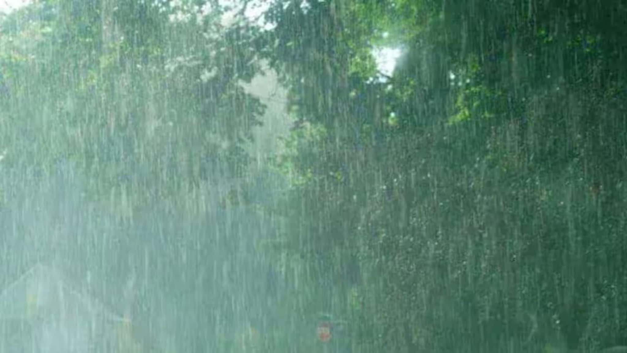 IMD Weather Update: ফুঁসছে নিম্নচাপ...! ২৩, ২৪, ২৫, ২৬! দুর্যোগ-এলোপাথাড়ি বৃষ্টি কাঁপাবে ১১ রাজ্য, ৩০-৪০ কিমি বেগে বইবে দমকা ঝোড়ো হাওয়া, কী হবে বাংলায়? জানিয়ে দিল IMD