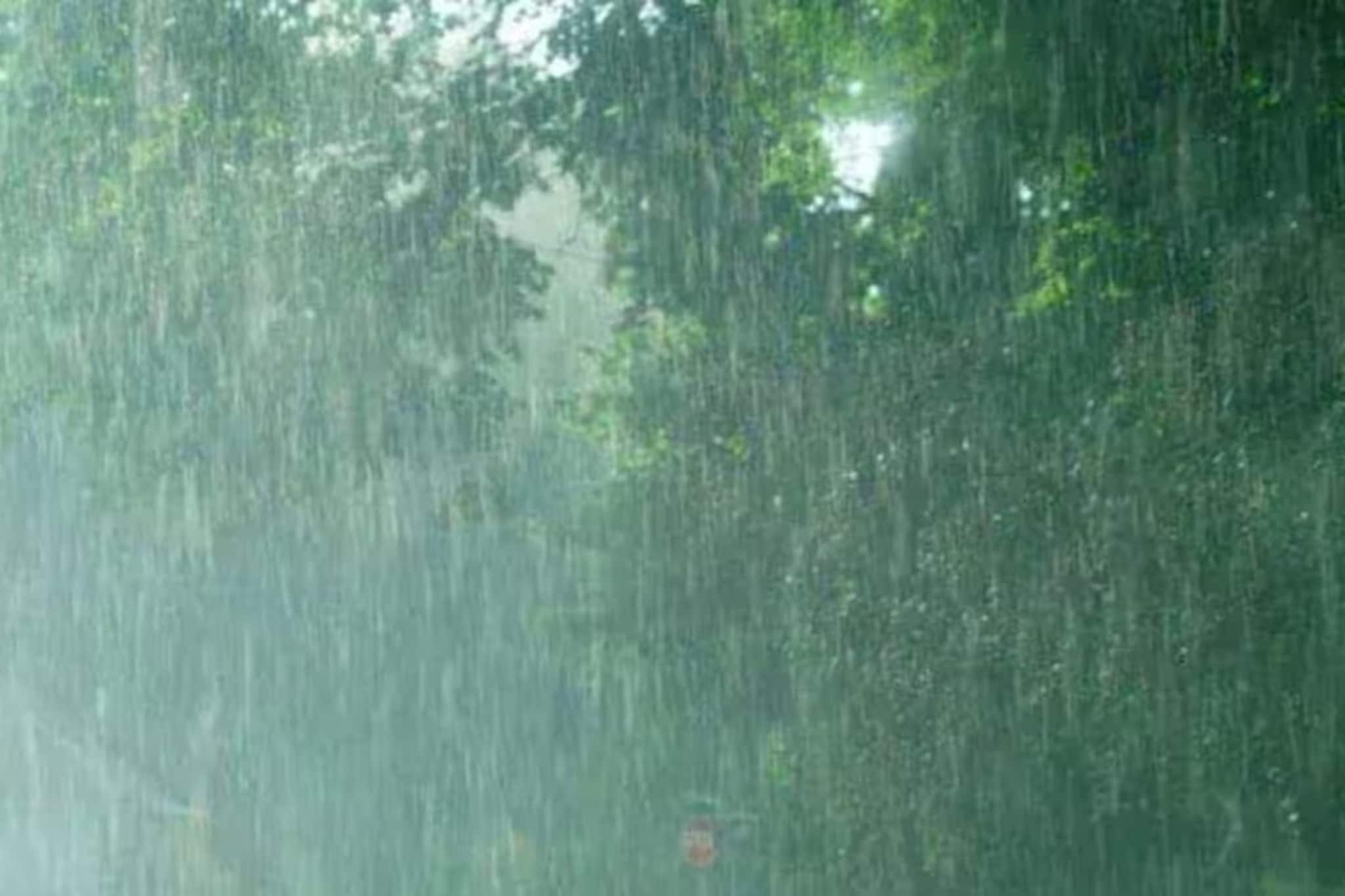 ২৩, ২৪, ২৫, ২৬...!  এলোপাথাড়ি বৃষ্টি কাঁপাবে ৬ রাজ্য, কবে থামবে ঝড়-জল-দুর্যোগ?