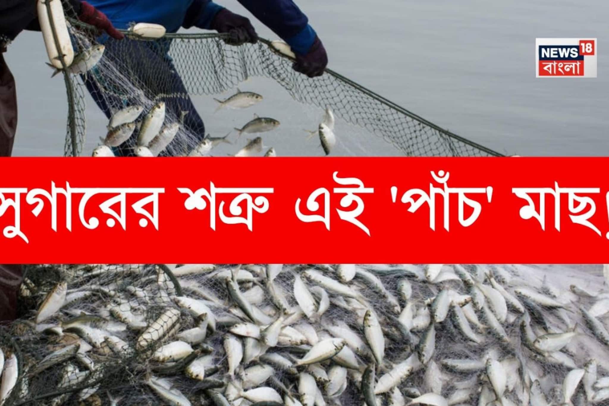 সুগারের শত্রু 'পাঁচ' মাছ...! স্বাদের সুপারস্টার, প্রোটিনের পাওয়ার হাউজ সস্তার এই মাছগুলি