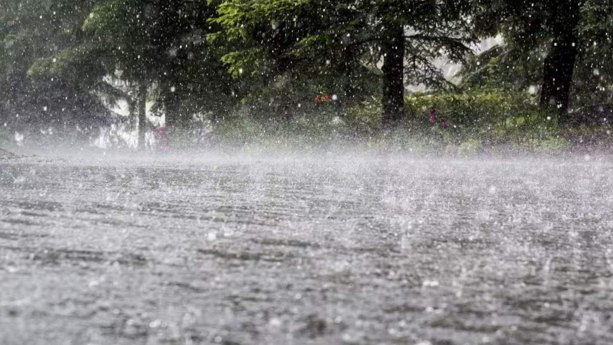 Weather Update: বসন্তেই বৃষ্টি বাংলায়,রবি থেকেই মেঘলা আকাশ-হালকা বৃষ্টি, বঙ্গোপসাগরে নিম্নচাপের জেরে বৃষ্টি Weather Update: বসন্তেই বৃষ্টি বাংলায়,রবি থেকেই মেঘলা আকাশ-হালকা বৃষ্টি, বঙ্গোপসাগরে নিম্নচাপের জেরে বৃষ্টি
