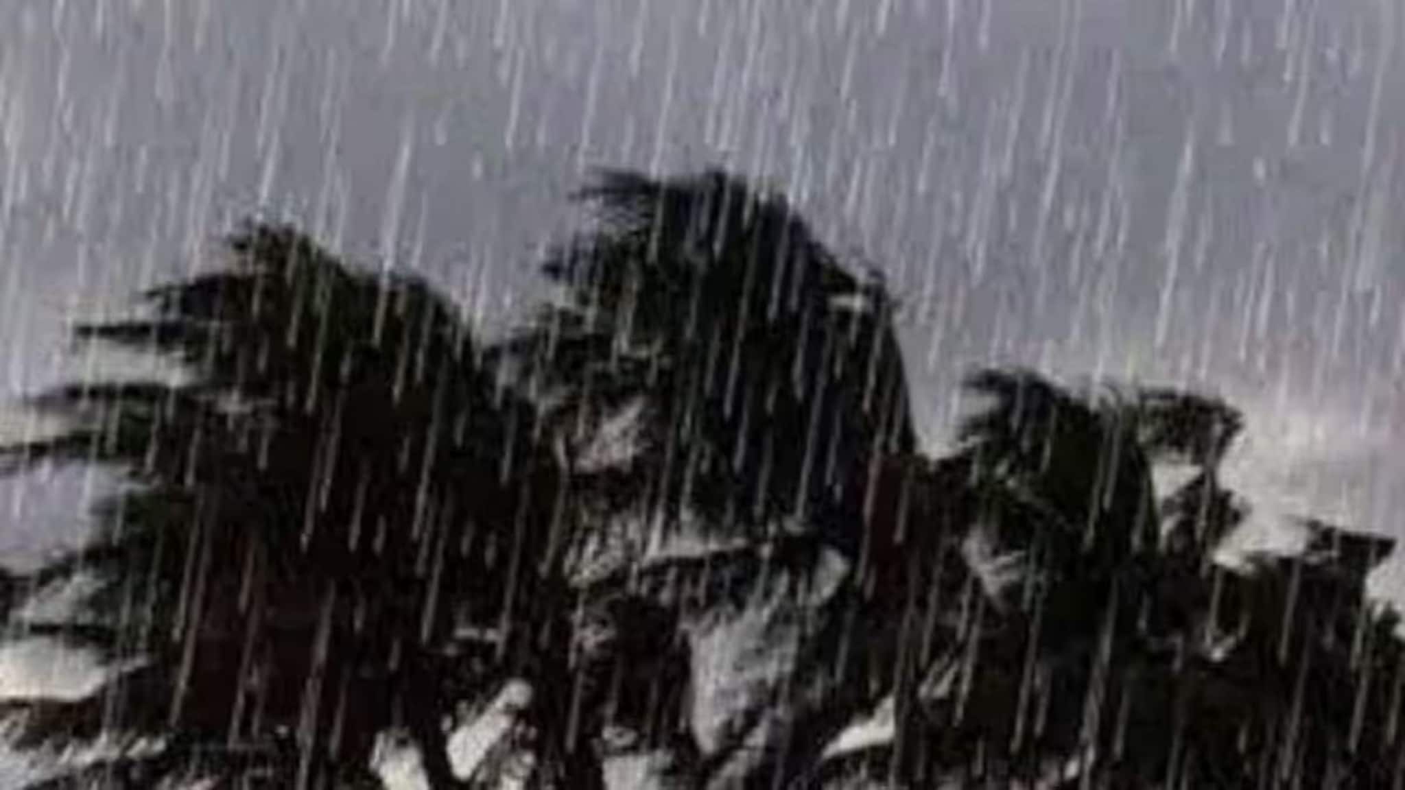 IMD Weather Update: আগামী ২৪ ঘণ্টা...! ঝড়-বৃষ্টি-দুর্যোগ কাঁপাবে ৫ রাজ্য, ৫৫ কিমি/ঘণ্টা বেগে বাতাসের হুঁশিয়ারি, ঝাঁঝাপোড়া গরম কোন কোন রাজ্যে? কী হবে বাংলায়? জানিয়ে দিল IMD