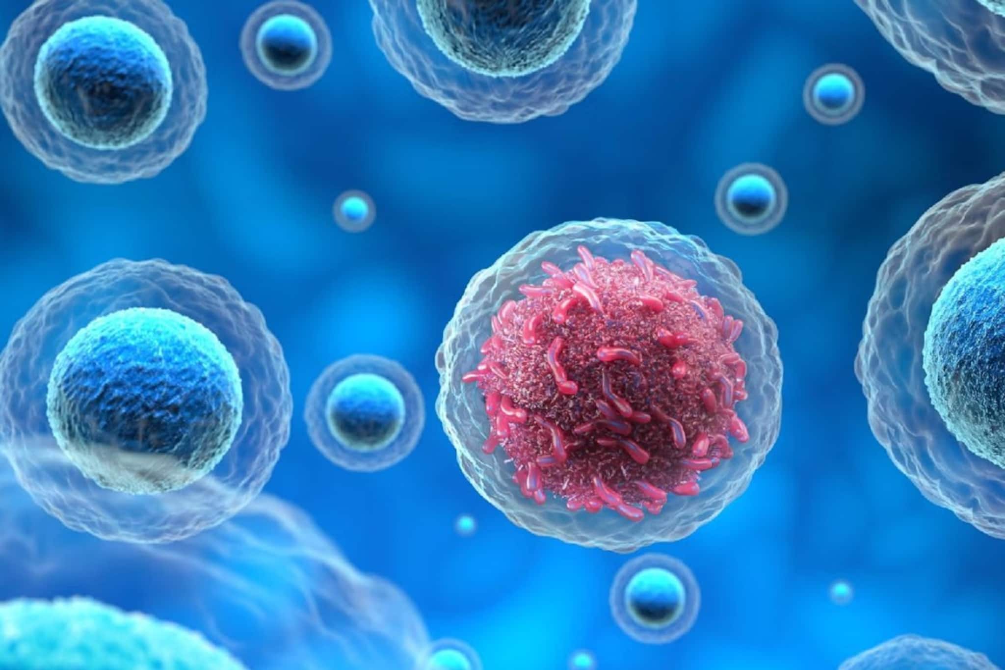 শুরুতে ধরা পড়লে ক্যানসার সেরে উঠতে পারে, ফার্স্ট স্টেজে যে ৯টি লক্ষণ দেখা দেয় শরীরে