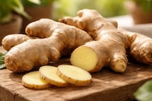 Ginger Cultivation: বড় জমি লাগবে না, বাড়ির ছাদেই করতে পারেন আদা চাষ, কম খরচে বিপুল লাভ! জেনে নিন পদ্ধতি