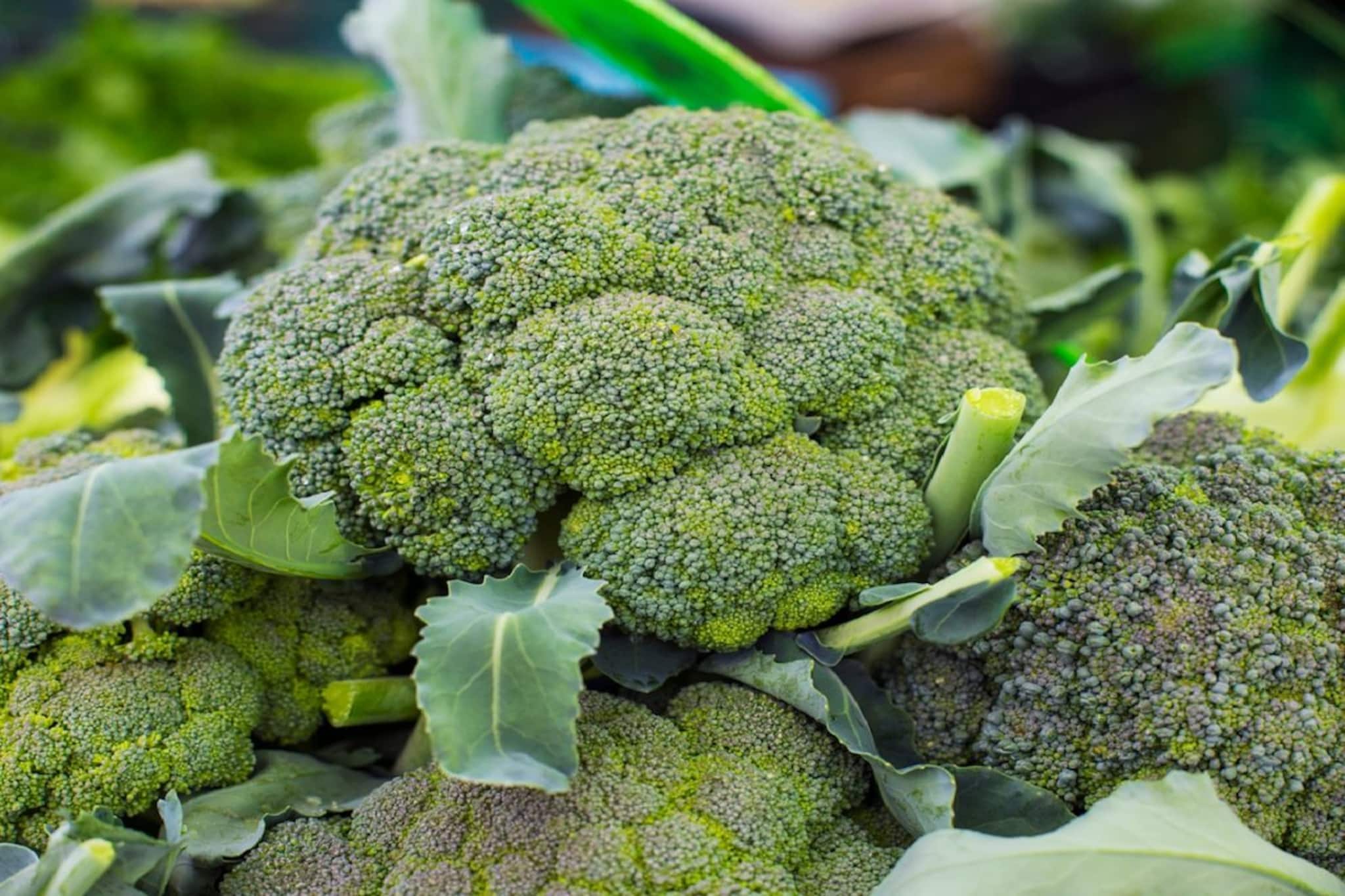 নিজের জমিতে ব্রকোলি চাষ করে বিপুল লাভ করুন, রইল সিক্রেট টিপস