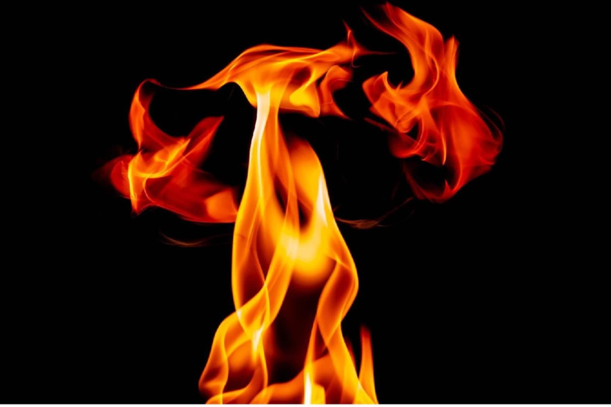 শিবরাত্রিতে আগুনে ঝলসে গিয়েছিল ছাত্রী, আর লড়াই চালাতে পারল না, মৃত্যু কালনার পৌলমীর শিবরাত্রিতে আগুনে ঝলসে গিয়েছিল ছাত্রী, আর লড়াই চালাতে পারল না, মৃত্যু কালনার পৌলমীর