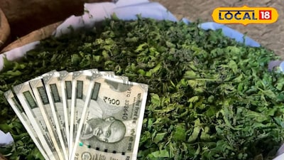 রেশম চাষ