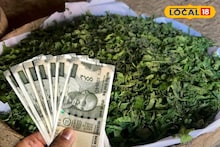 Money Making Ideas: চাষ তো নয়, যেন সোনা! ১ মণেই মিলছে ১৮ হাজার টাকা, বীরভূমের এই গ্রামের ঘরে ঘরে এখন লক্ষ্মীলাভ