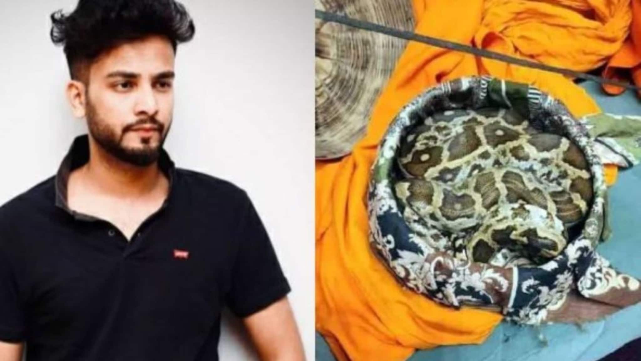 Supreme court: সাপের বিষ নিয়ে নেশা! সেই মামলা...এবার সুপ্রিম কোর্টে, রেভ পার্টিতে কীভাবে ব্যবহার, জানাতে নির্দেশ