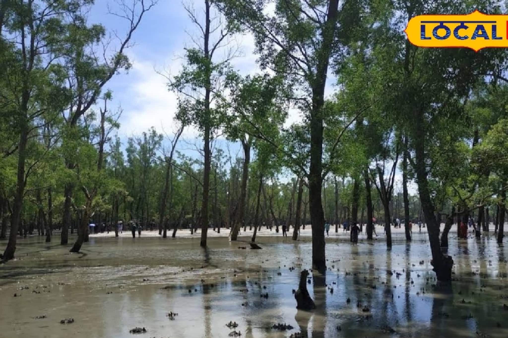 সুন্দরবন বাঁচাতে ময়দানে কলেজ পড়ুয়ারা, জলাভূমি রক্ষা করতে বড় উদ্যোগ! বদলে যাবে ছবিটা সুন্দরবন বাঁচাতে ময়দানে কলেজ পড়ুয়ারা, জলাভূমি রক্ষা করতে বড় উদ্যোগ! বদলে যাবে ছবিটা