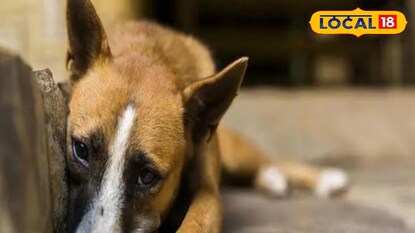 প্রতিকী ছবি প্রতিকী ছবি