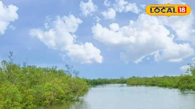 সুন্দরবনের লবণাক্ত জলের মাত্রা কমাতে আসছে বড় প্রকল্প