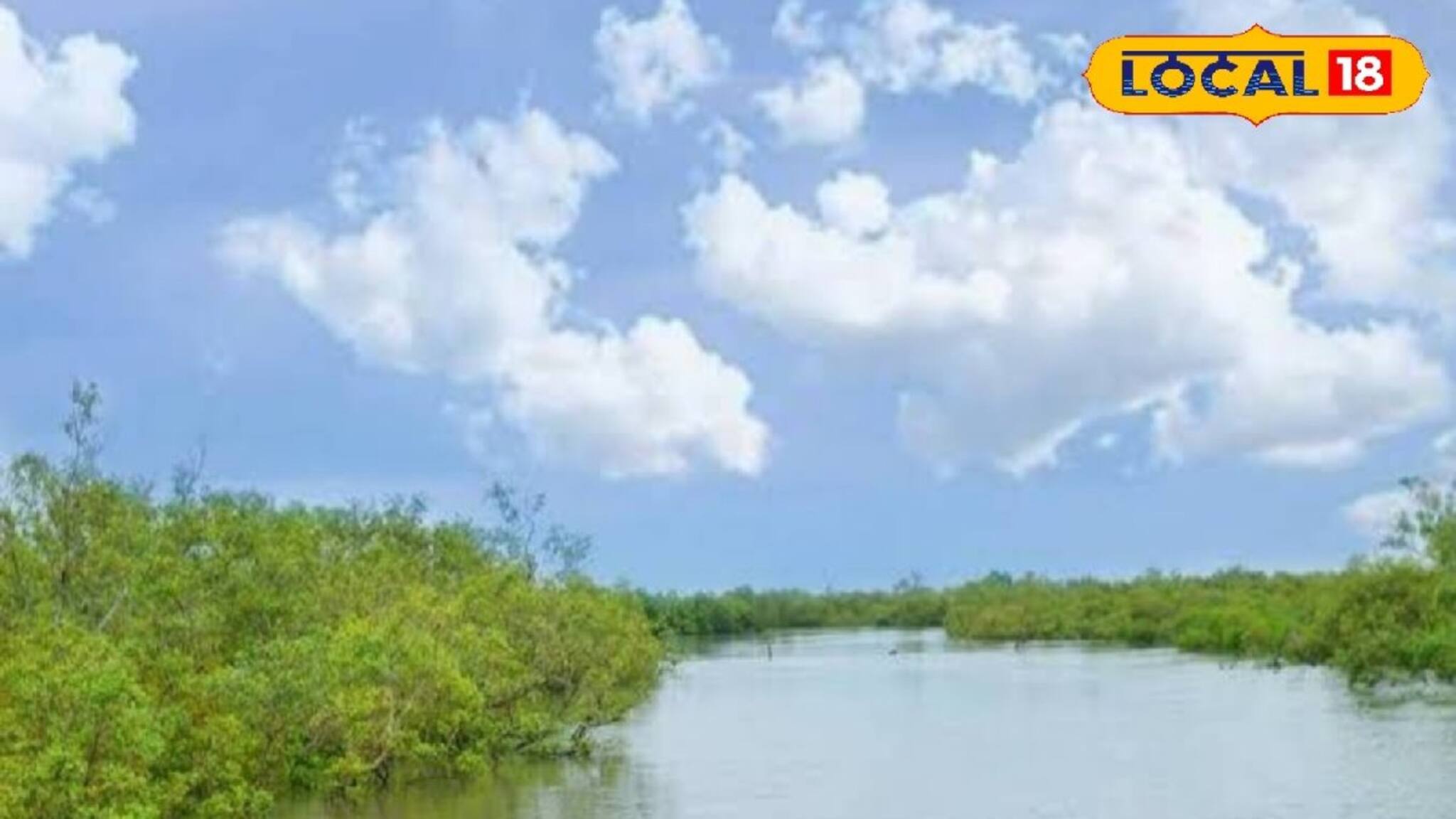 সুন্দরবন বাঁচাতে কয়েক হাজার কোটির মেগা প্রজেক্ট আনছে রাজ্য, কমবে নোনা জলের দাপট