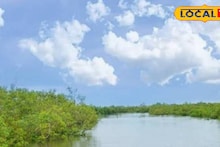 South 24 Parganas News: সুন্দরবন বাঁচাতে কয়েক হাজার কোটির মেগা প্রজেক্ট আনছে রাজ্য, কমবে নোনা জলের দাপট! বদল আনতে মরিয়া সেচ দফতর