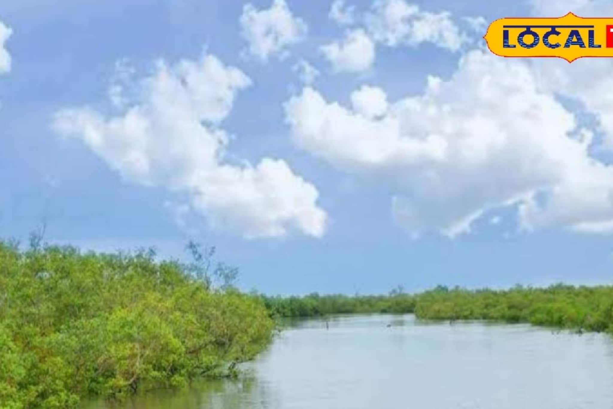 সুন্দরবন বাঁচাতে কয়েক হাজার কোটির মেগা প্রজেক্ট আনছে রাজ্য, কমবে নোনা জলের দাপট সুন্দরবন বাঁচাতে কয়েক হাজার কোটির মেগা প্রজেক্ট আনছে রাজ্য, কমবে নোনা জলের দাপট