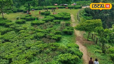 জলপাইগুড়ির চা বাগান