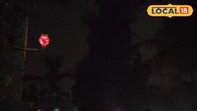 সুন্দরবনের রাস্তায় ট্রাফিক সিগন্যাল