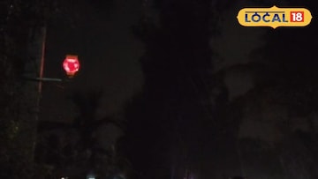 সুন্দরবনের