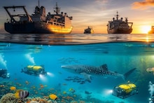 সমুদ্রের নীচে এত শব্দ কীসের! ক্রমশই বাড়ছে...হতে পারে বড় ক্ষতি! কোন সর্বনাশের পথে যাচ্ছে জলভাগ?