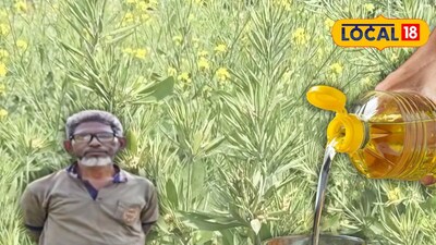 ভিয়েতনামি সরিষা চাষ