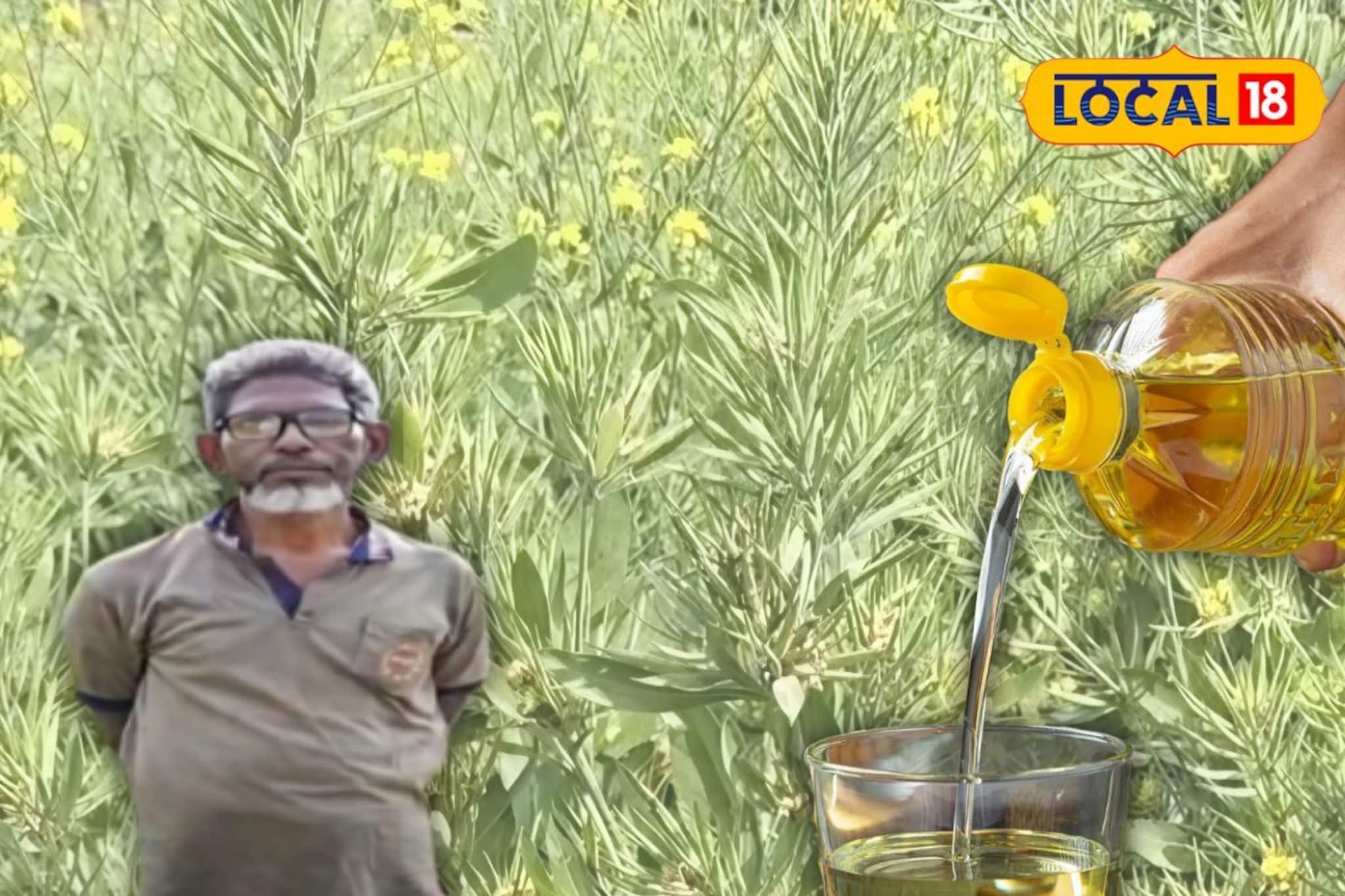 ৭ ফুটের গাছ, এক গাছেই এক কেজি ফলন! সরষে চাষে বৈপ্লবিক পরিবর্তন, বেছে নিতে এই জাত