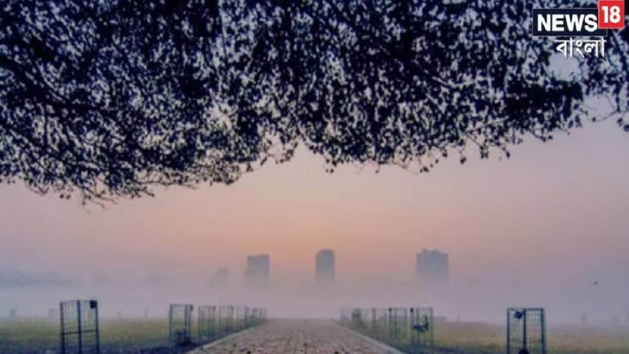 Weather Update Today: ফেব্রুয়ারির শুরুতেই শীতের ঝাপটা, কলকাতা ও আশেপাশের জেলায় কুয়াশা