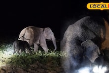 Elephant Rescue: গর্তে পড়েছিল আদরের সন্তান, মাঝরাতে মা হাতির বুকফাটা চিৎকার! উদ্ধার করতে এসে চোখে জল স্থানীয়দের