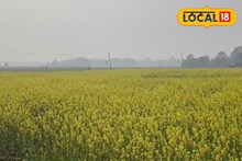 IMD Weather Update: হুগলিতে হালকা শীতের আমেজ অটুট! আবহাওয়ায় বড় বদল কি আসন্ন? জানুন লেটেস্ট আপডেট