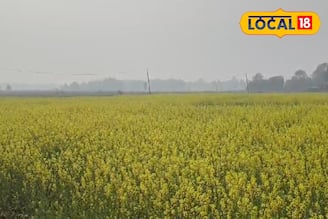 হুগলিতে হালকা শীতের আমেজ অটুট! আবহাওয়ায় বড় বদল কি আসন্ন? জানুন লেটেস্ট আপডেট