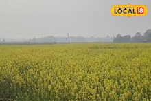 IMD Hooghly Weather Update: পারদ অপরিবর্তিত, ঠান্ডার সঙ্গে মনোরম আবহাওয়া হুগলিতে! কেমন থাকবে দিনভর জানিয়ে দিল হাওয়া অফিস