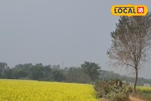 IMD Hooghly Weather Update: পারদ বাড়লেও উত্তুরে বাতাসের কারণে শীতের আমেজ অটুট! দিনভর কেমন থাকবে হুগলির আবহাওয়া জানালো দফতর