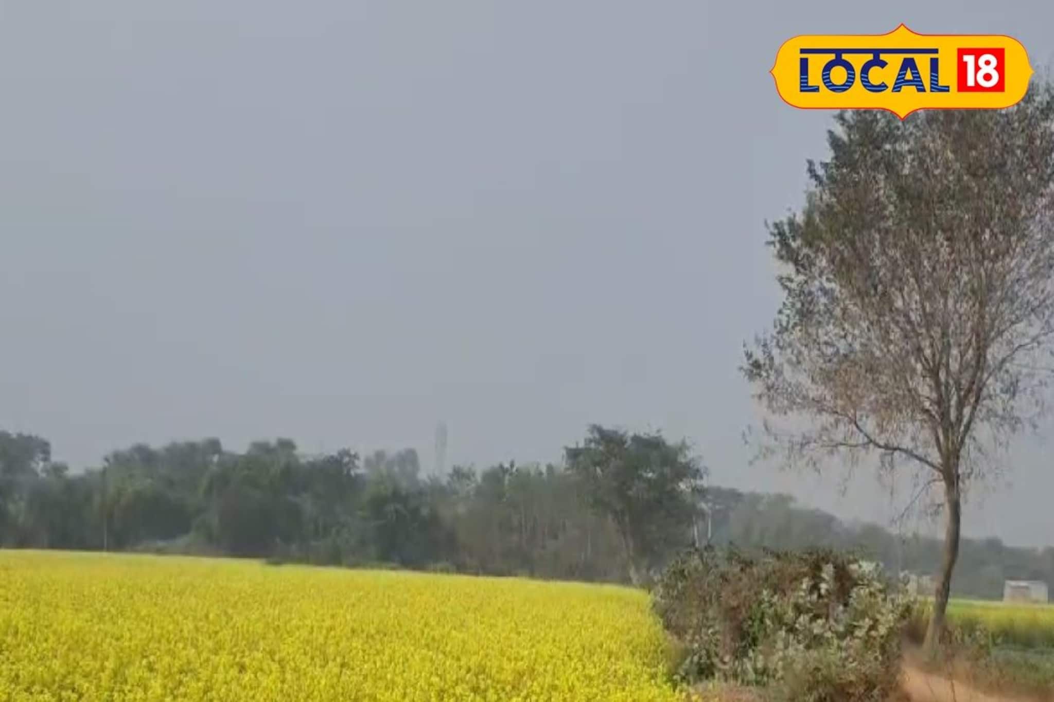 পারদ সামান্য কমতেই ফের চনমনে শীতের আমেজ! বইছে উত্তুরে বাতাস, কেমন থাকবে হুগলির আজ পারদ সামান্য কমতেই ফের চনমনে শীতের আমেজ! বইছে উত্তুরে বাতাস, কেমন থাকবে হুগলির আজ