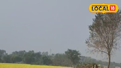 বসন্তের ছোঁয়া হুগলিতে