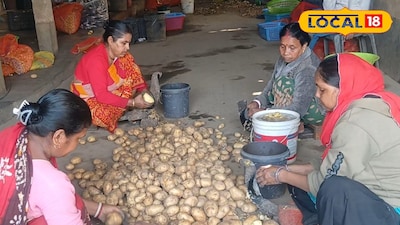 আলু কেটে আয়