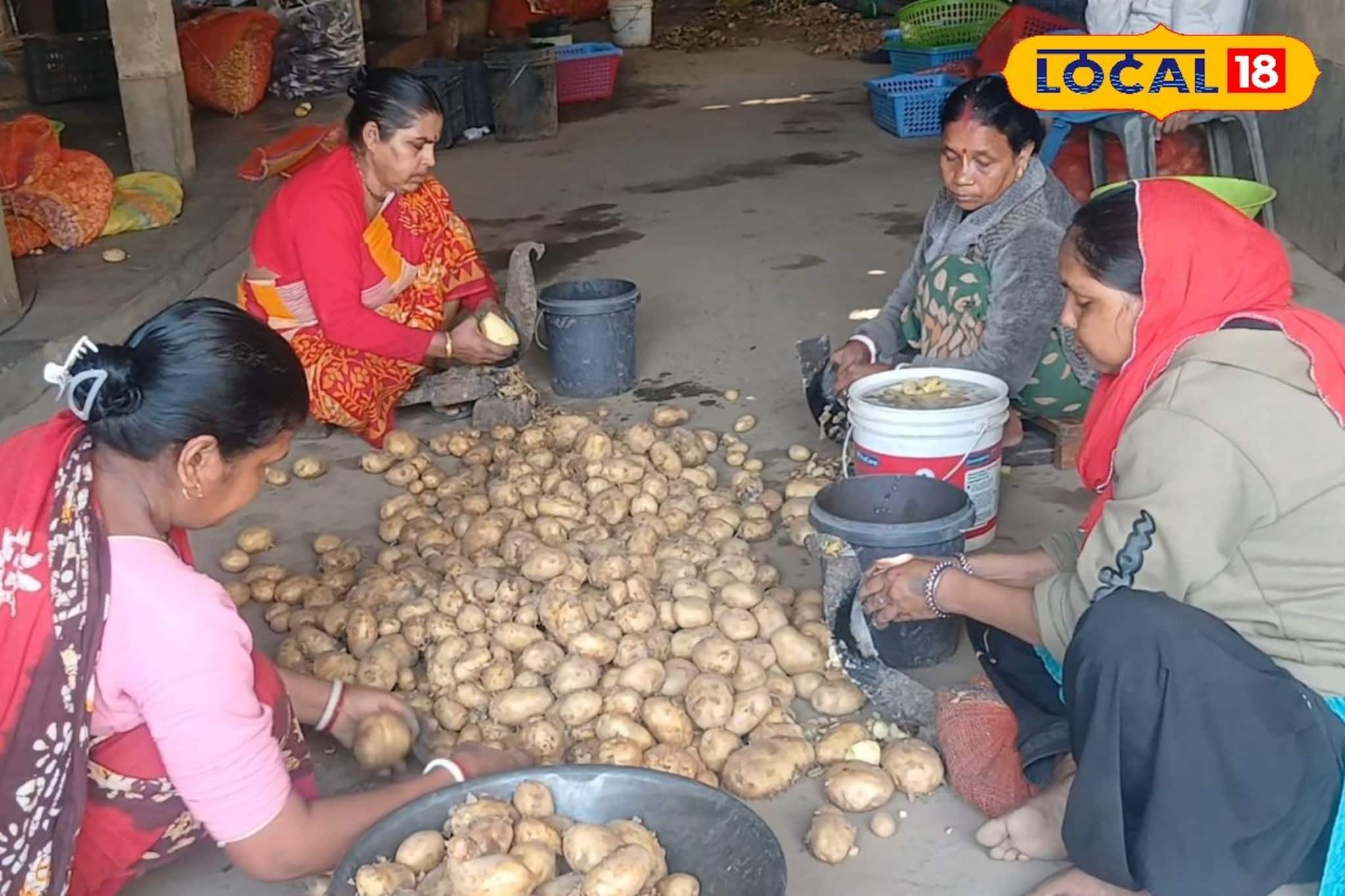 আলু কাটলেই টাকা! বর্ধমানের মহিলাদের অভিনব 'বিজনেস আইডিয়া' তাক লাগছে সবার
