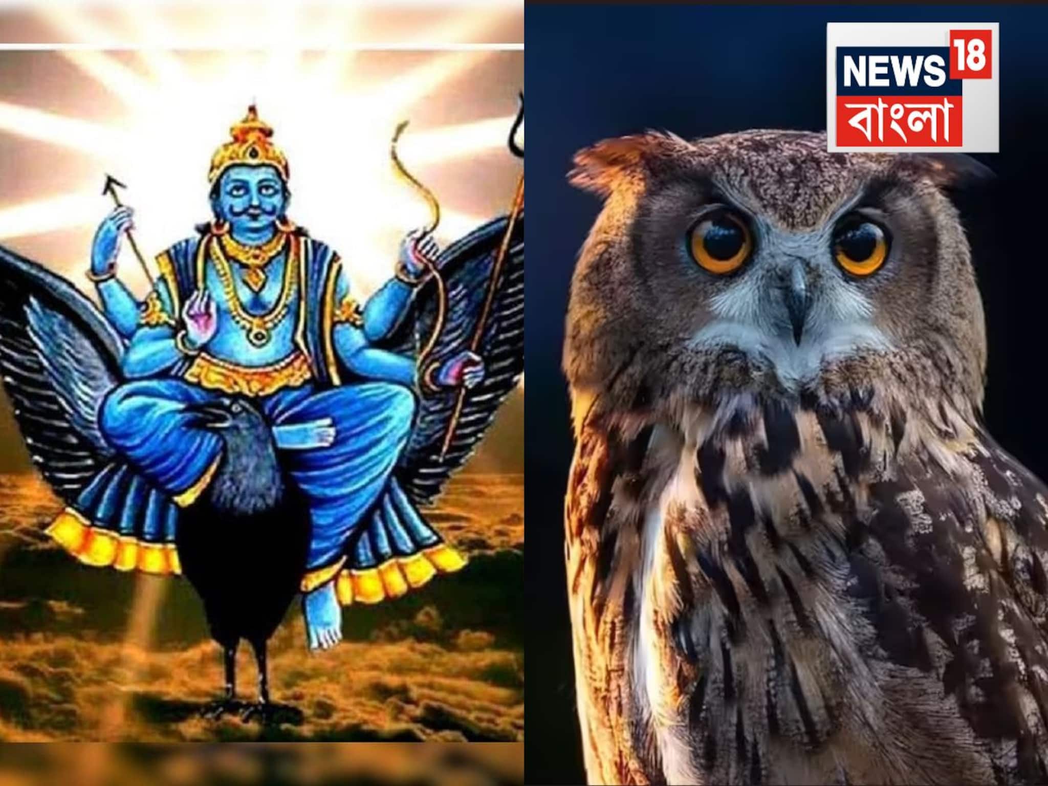 শনি এবং পেঁচার গভীর যোগ! বার বেলায় যদি দেখতে পান, কী অর্থ হয় তার? জানুন