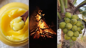 হোলিকা দহন ও দোলে দান করুন এইসব জিনিস, কপাল খুলে যাবে! রাতারাতি হবে শ্রীবৃদ্ধি