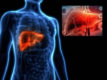 শরীরের 'এই' ৪ অংশ কুরে কুরে ধংস করে! অবিলম্বে ৭ খাবার খান, ফ্যাটি লিভারের ওষুধ থেকে মুক্তি